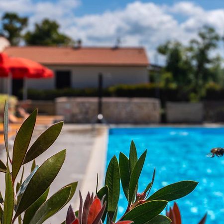 Agriturismo Il Tripesce Vada Exteriér fotografie