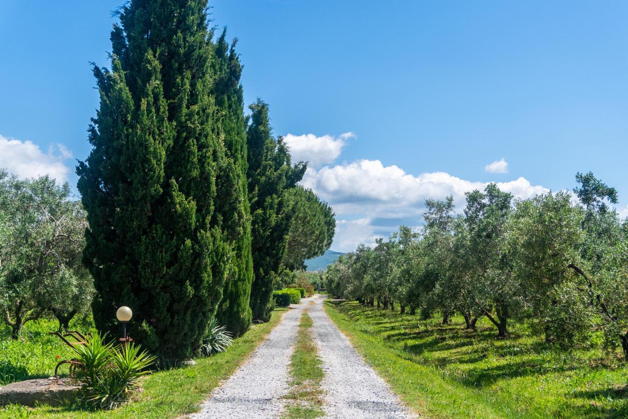 Agriturismo Il Tripesce Vada Exteriér fotografie
