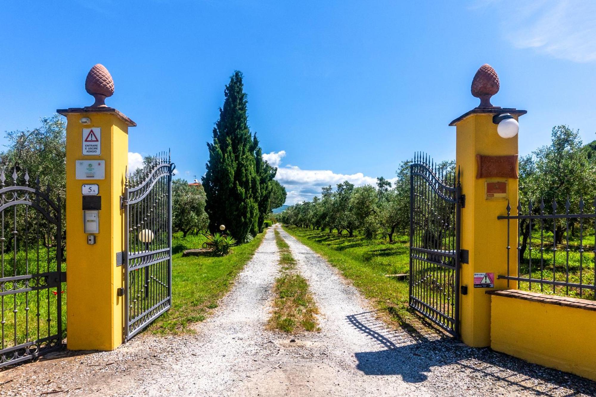 Agriturismo Il Tripesce Vada Exteriér fotografie