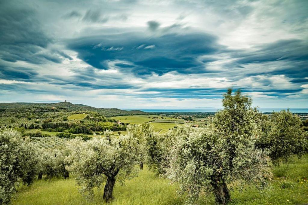 Agriturismo Il Tripesce Vada Exteriér fotografie