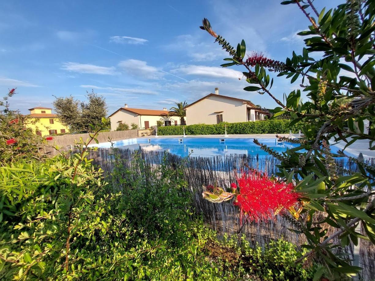 Agriturismo Il Tripesce Vada Exteriér fotografie