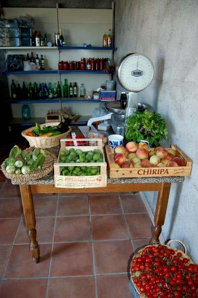 Agriturismo Il Tripesce Vada Exteriér fotografie
