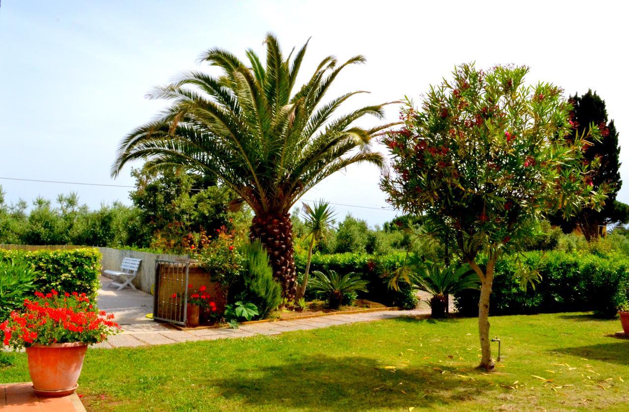 Agriturismo Il Tripesce Vada Exteriér fotografie