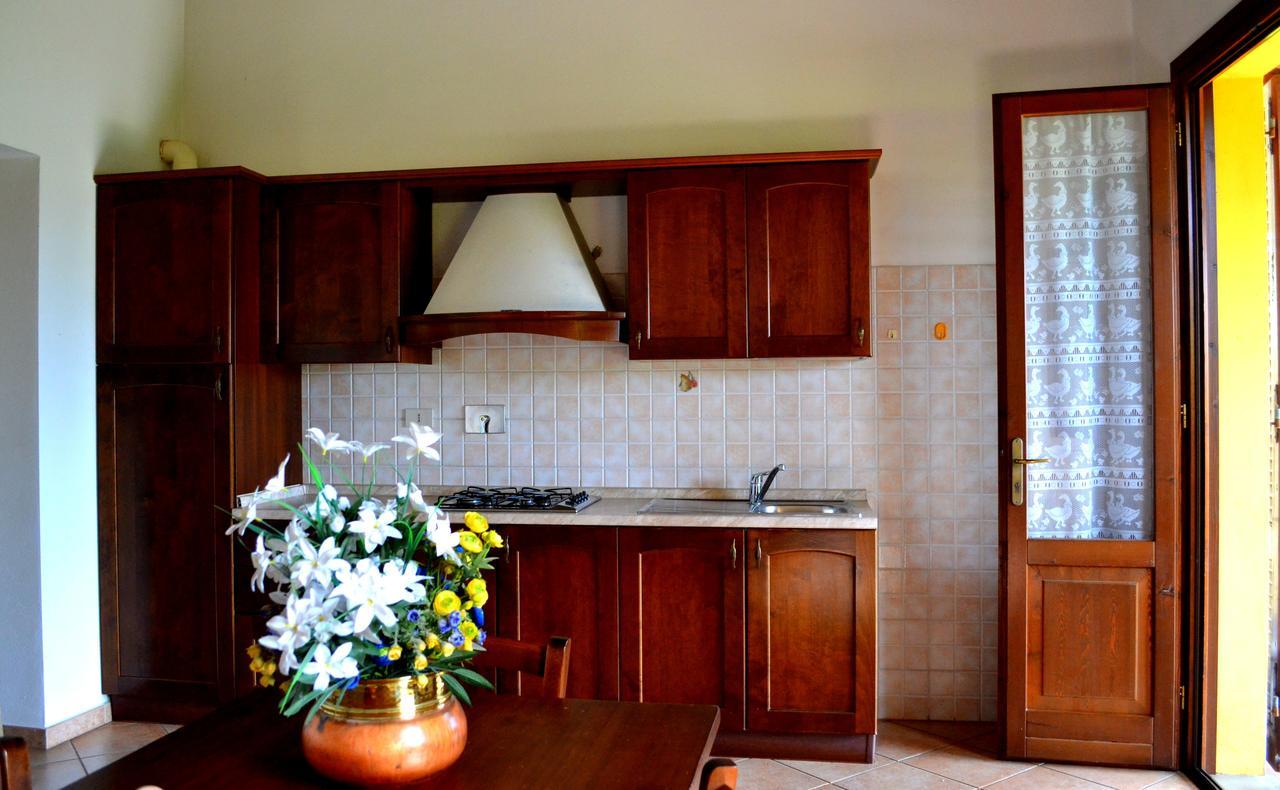 Agriturismo Il Tripesce Vada Exteriér fotografie